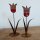 Tulpen mit roter Ton-Blüte - 2er Set